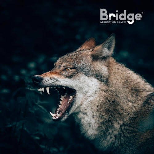 Comunicato Bridge Partners alci lupi