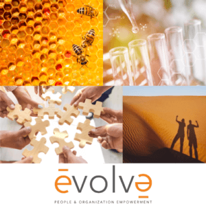Evolve Solutions - La sfida delle organizzazioni: un viaggio per far vivere la leadership